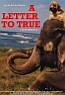 a letter to true