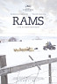 Rams