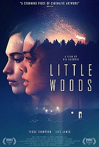 Little Woods