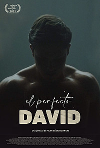 The Perfect David