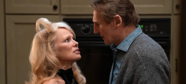 anderson and neeson