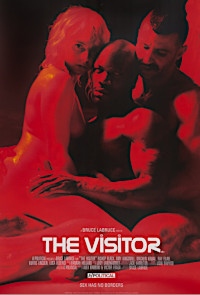 The Visitor