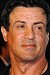 stallone